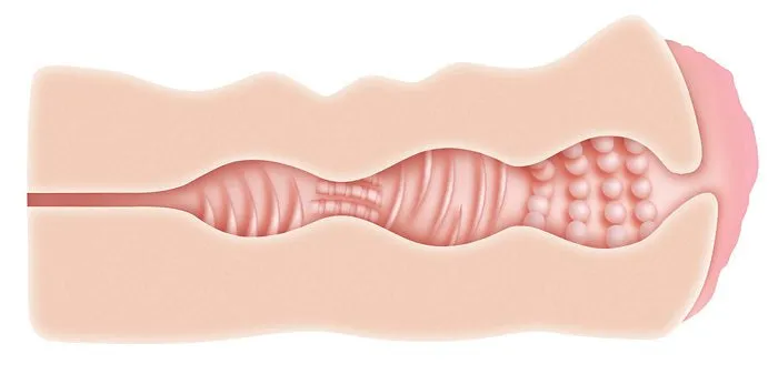 Evolved Novelties Male Sex Toys Adam Eve Sweet Lips Stroker