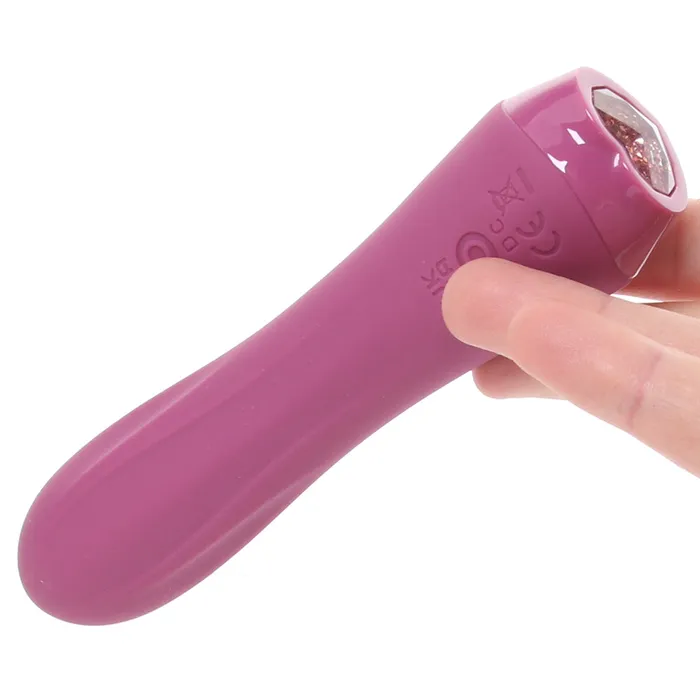 Charms Fern Vibe ns novelties Vibrators