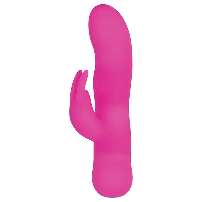 EVOLVED Vibrators Evolved Sugar BunnyPink