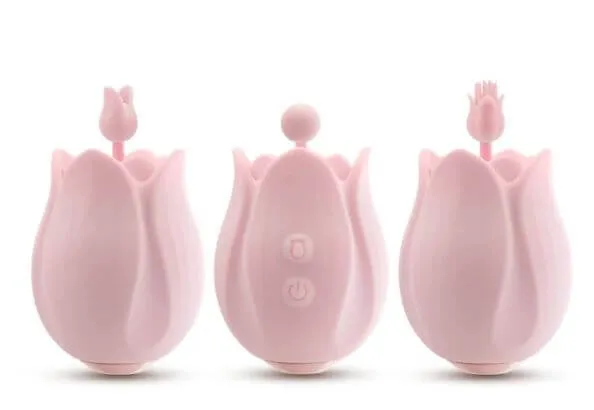 Vibrators Blush Novelties PLAY WITH ME ROMANTIC ROSE PINK