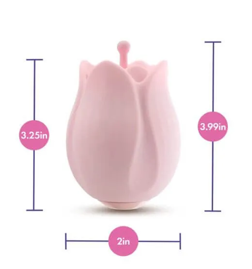 Vibrators Blush Novelties PLAY WITH ME ROMANTIC ROSE PINK