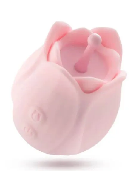 Vibrators Blush Novelties PLAY WITH ME ROMANTIC ROSE PINK