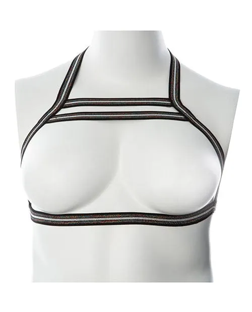 Anal Gender Fluid Gender Fluid Silver Lining Harness