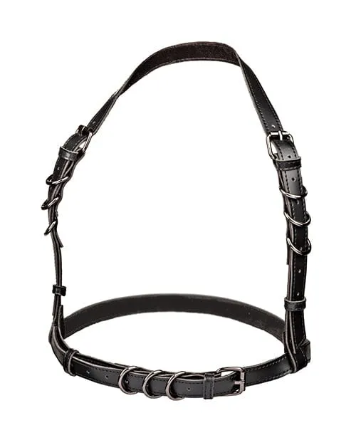 Euphoria Collection Plus Size Halter Buckle Harness CalExotics Plus Size