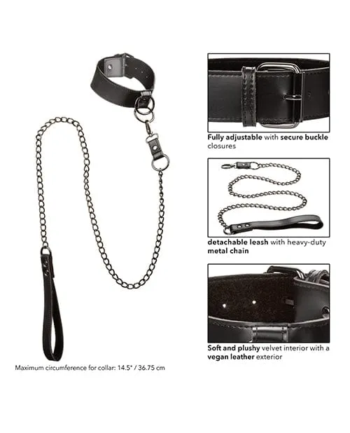 Vibrators CalExotics Euphoria Collection Collar Wchain Leash