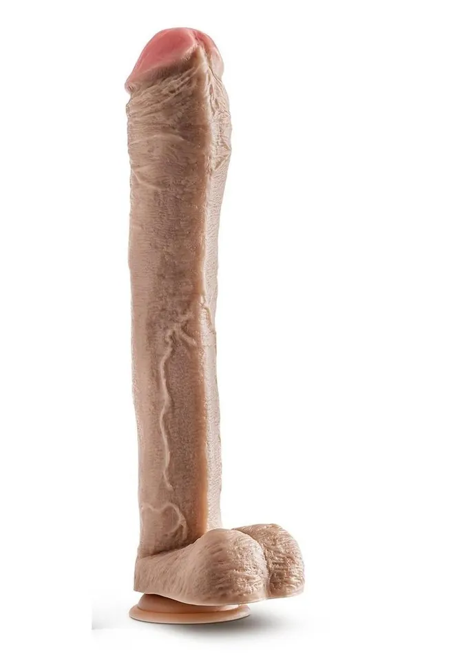 Dildos Dr Skin Mr Ed Dildo with Balls and Suction Cup Dr Skin