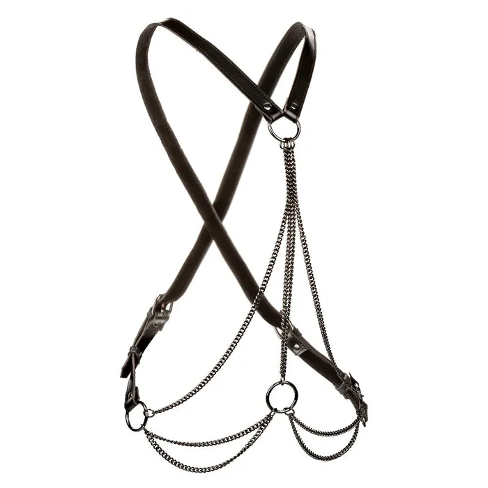 CalExotics Anal Euphoria Collection Multi Chain Harness Black CalExotics Anal Euphoria Collection Multi Chain Harness Black