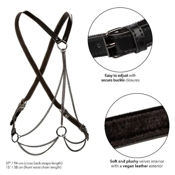CalExotics Anal Euphoria Collection Multi Chain Harness Black CalExotics Anal Euphoria Collection Multi Chain Harness Black
