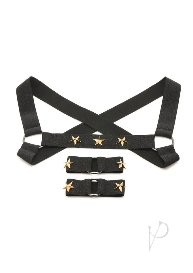 Female Sex Toys Master Series Ms Rave Chest Harness Lxl Blkgld