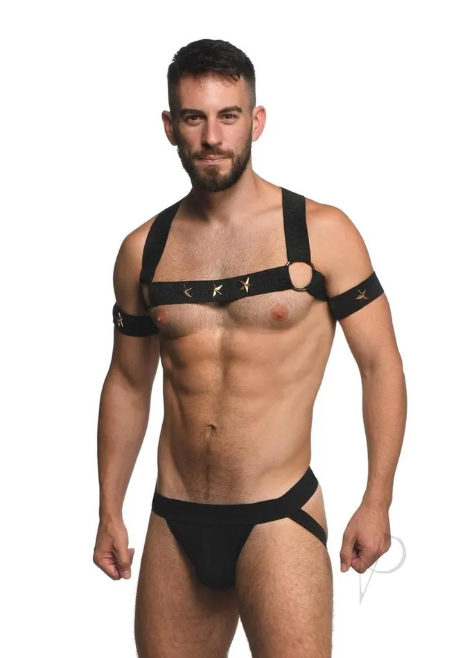Female Sex Toys Master Series Ms Rave Chest Harness Lxl Blkgld