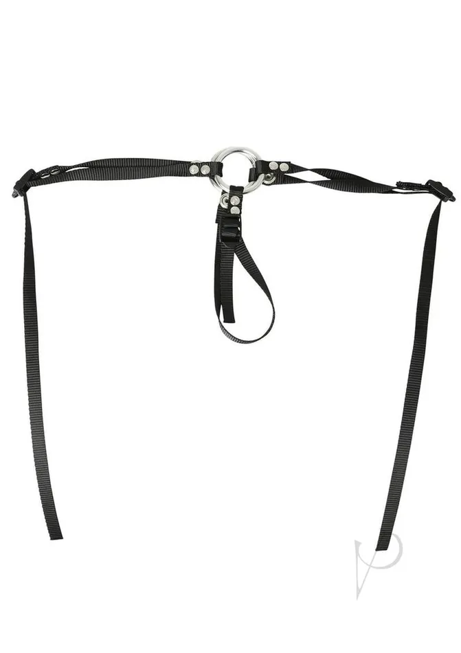 Female Sex Toys Sportsheets Bare As You Dare Harness Female Sex Toys Sportsheets Bare As You Dare Harness