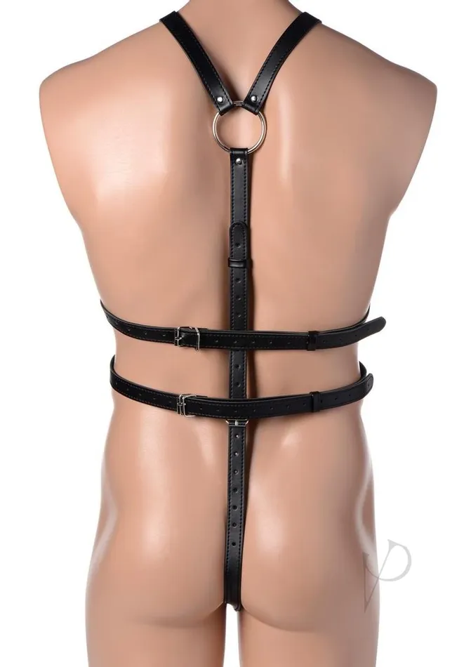 Female Sex Toys STRICT Strict Male Body Harness