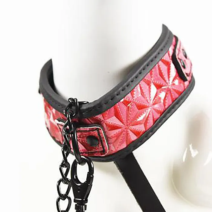 Fetish Pleasure Play Pink Passionate Collar wLeash Castle Megastore Vibrators